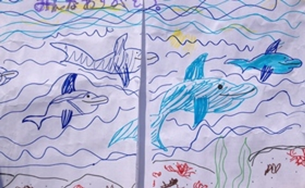 ベイビードルフィン