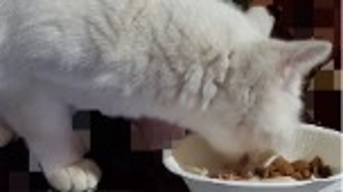 残り1時間となってしまいました😭🙏