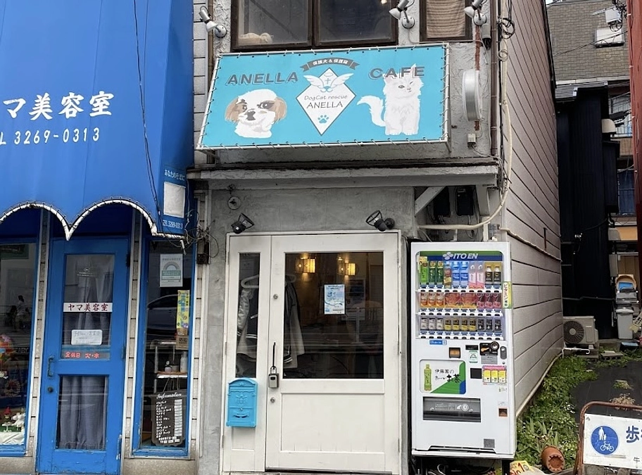 アネラカフェ新宿店の紹介です🎀