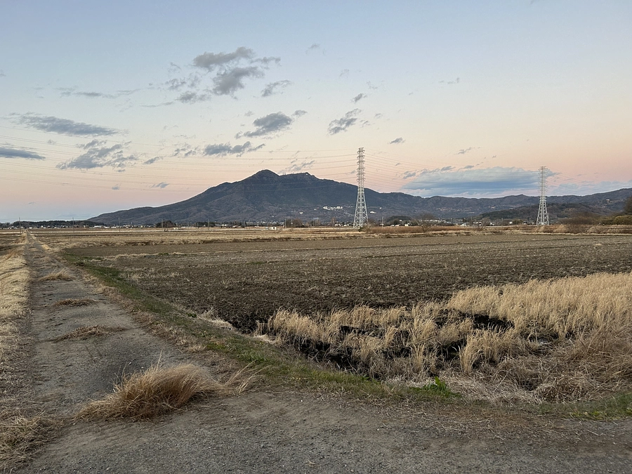 二十四節気 冬至　七十二候 雪下出麦(せつかむぎをいだす)