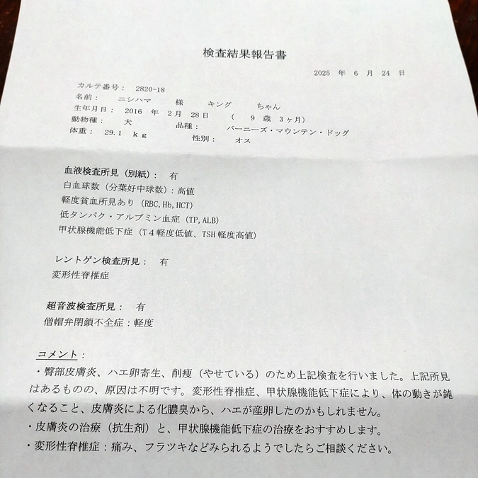 甲状腺低下症💧