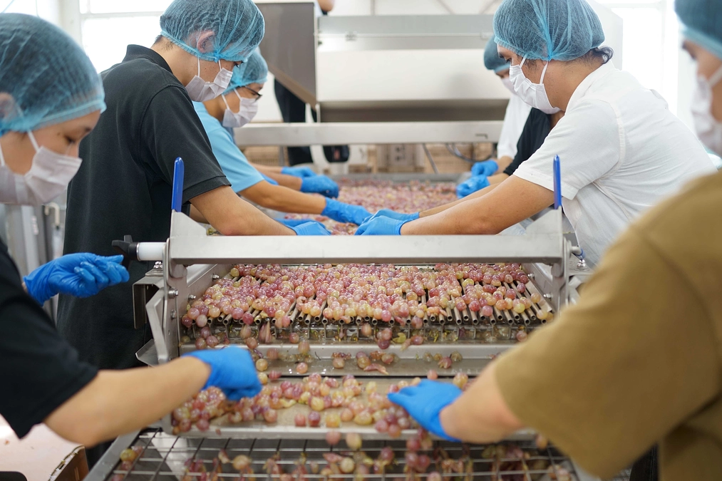 朝日新聞・山梨版で取り上げられました