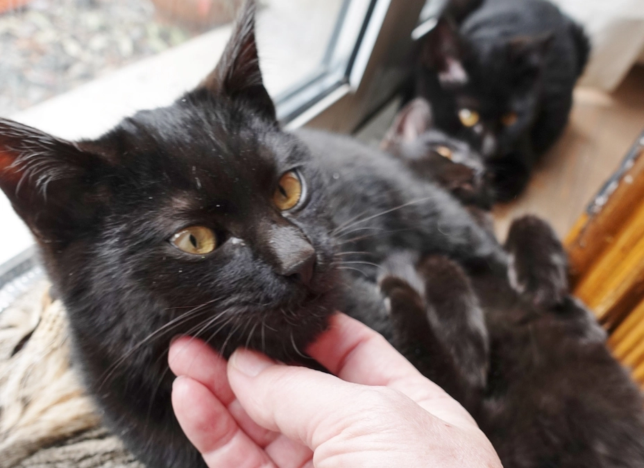 明日、親子で手術のために