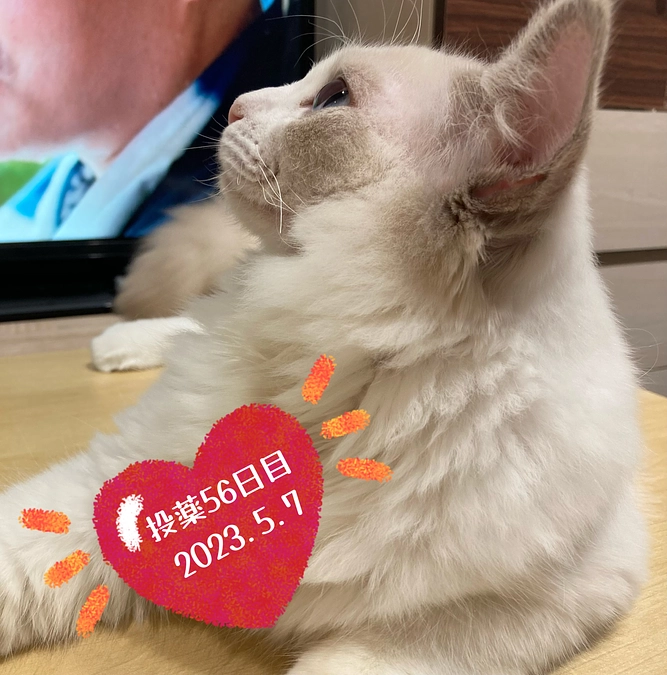 投薬５６日目(2023.5.7)&ご支援のお知らせ