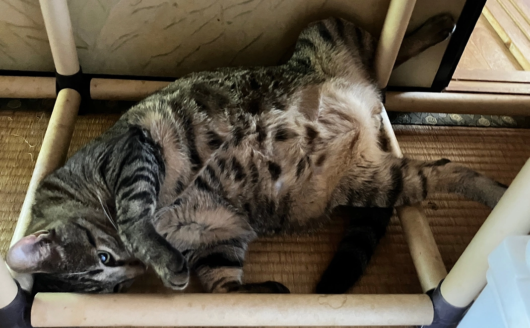 5000円お気持ち支援。