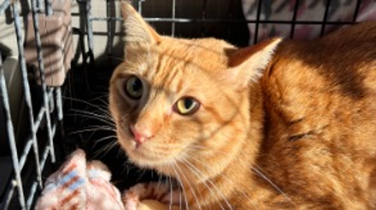 ケンちゃんがんばれ❗️