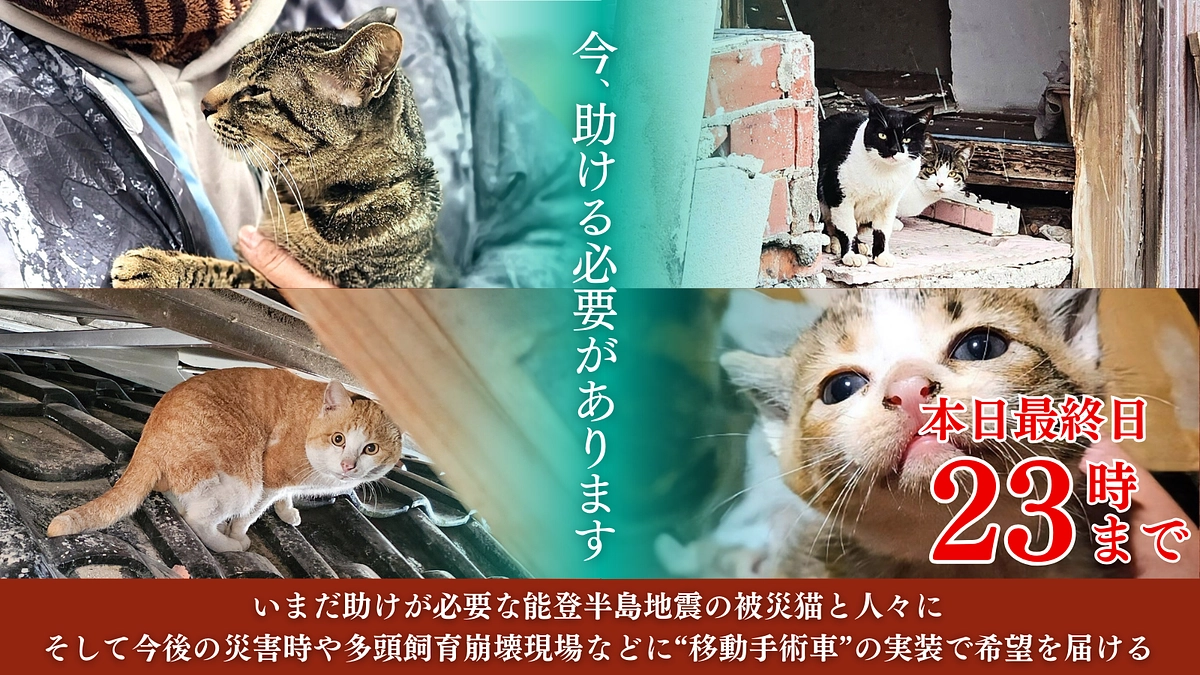 【クラウドファンディング 最終日！】本日23時で終了となります！