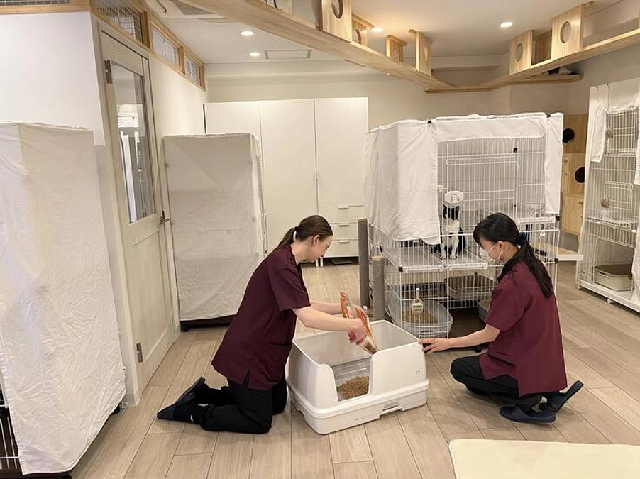 A message of support from the shelter staff.