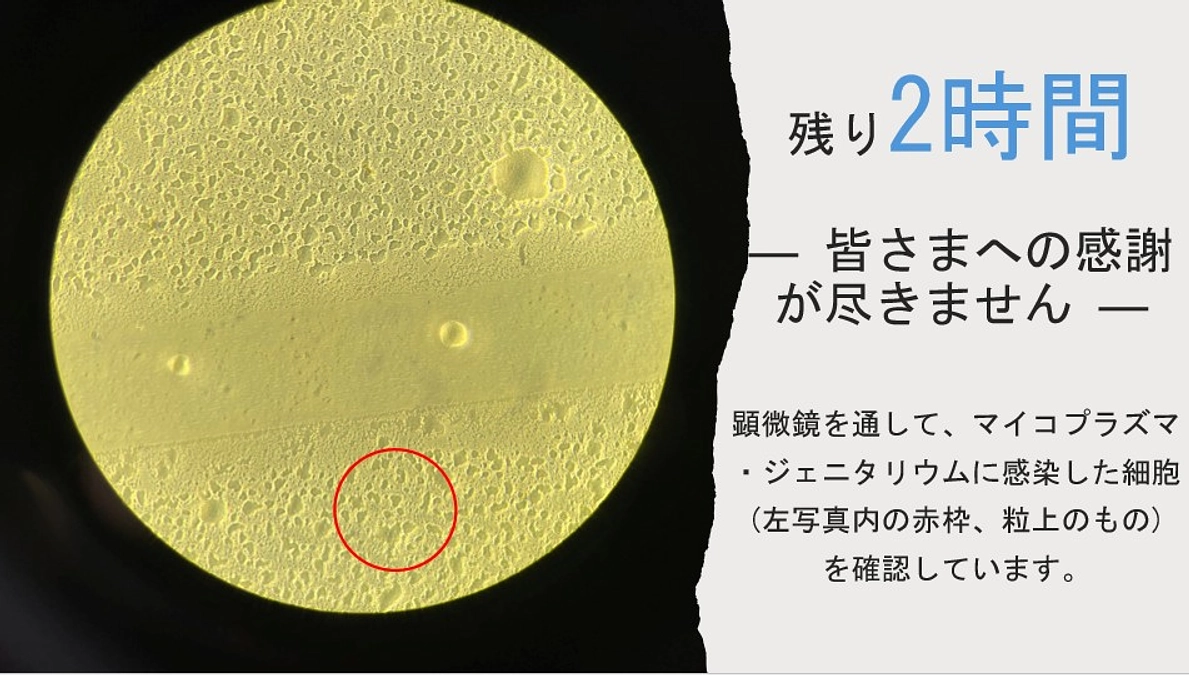 残り2時間 ― 皆さまへの感謝が尽きません
