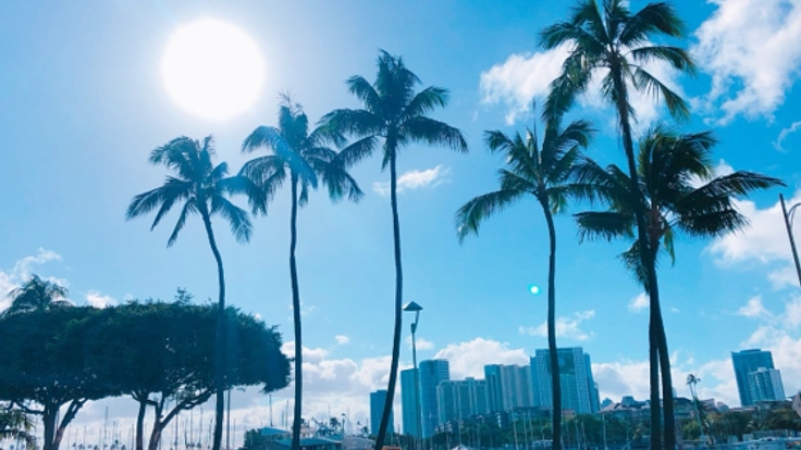 ハワイでの歌舞伎公演を公式記念アロハシャツの製作で応援したい