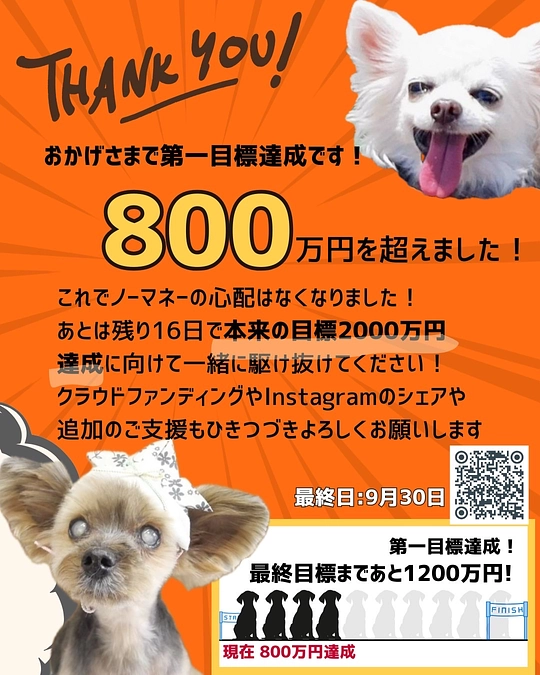 〜第一目標達成の御礼と ネクストゴールの報告について〜