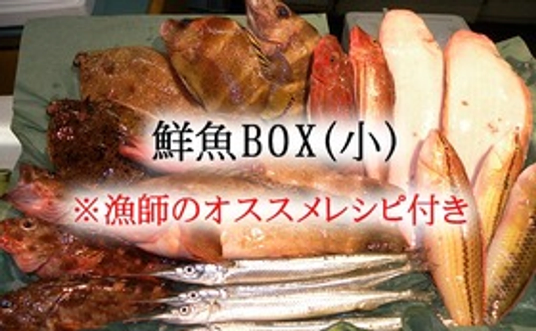 ② 鮮魚BOX(小)　※漁師オススメレシピ付き