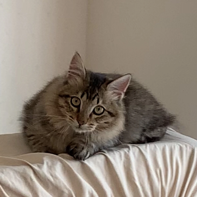 心からのお礼と、片目ショボショボが気になるちゃむ