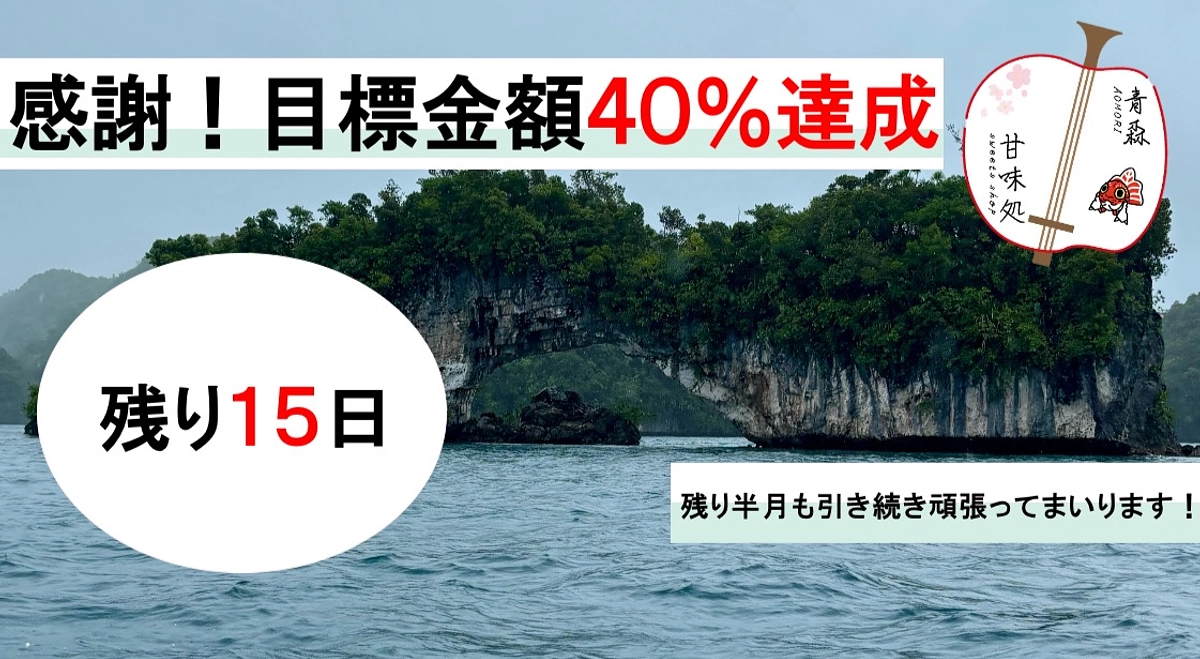 感謝：目標金額４０％達成！ありがとうございます！