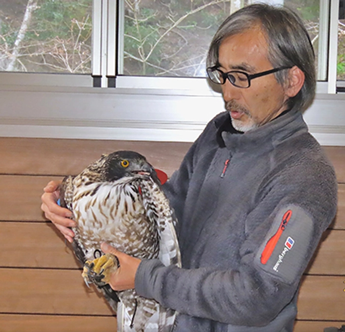 【プロジェクトメンバーから】アジア猛禽類ネットワーク　井上剛彦