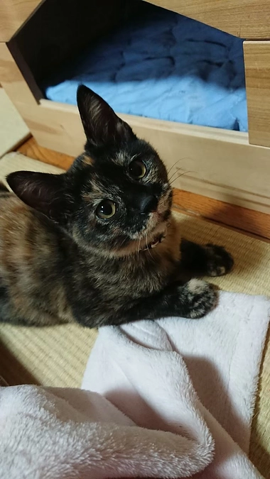 5歳になりました🎂