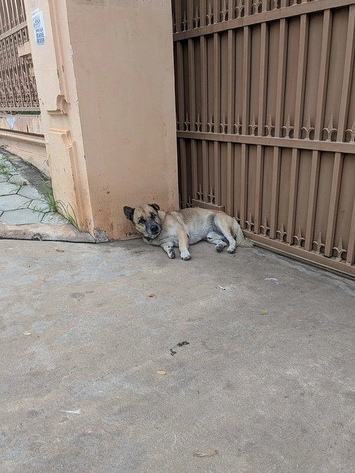 【ご支援ありがとうございました！】シェムリアップの現地でしばしの活動