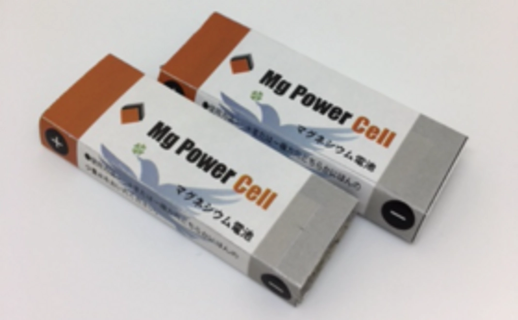 フラッシュライト5本+マグネシウム電池20本