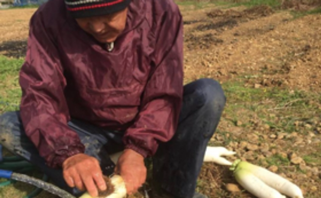 A4判1/6スペースほどにお名前と写真掲載とお野菜セット