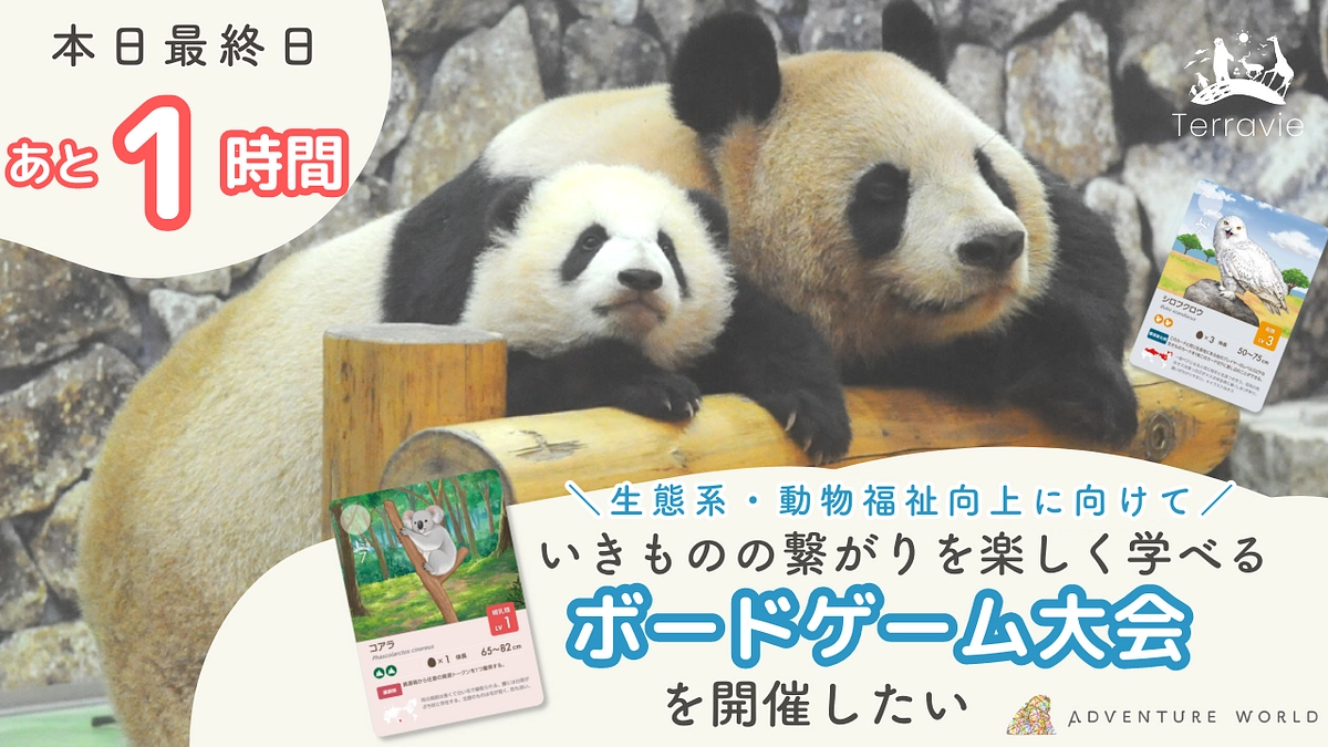 あと1時間！いきもの達に思いを馳せ、人・動物・いきものみんなを尊重できる世界になりますように。