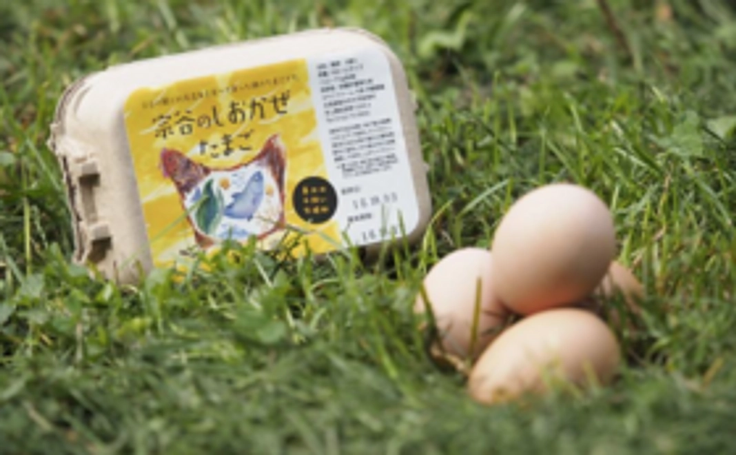 カヤニファームの贈り物コース