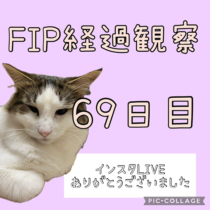 ご支援ご報告🐈
