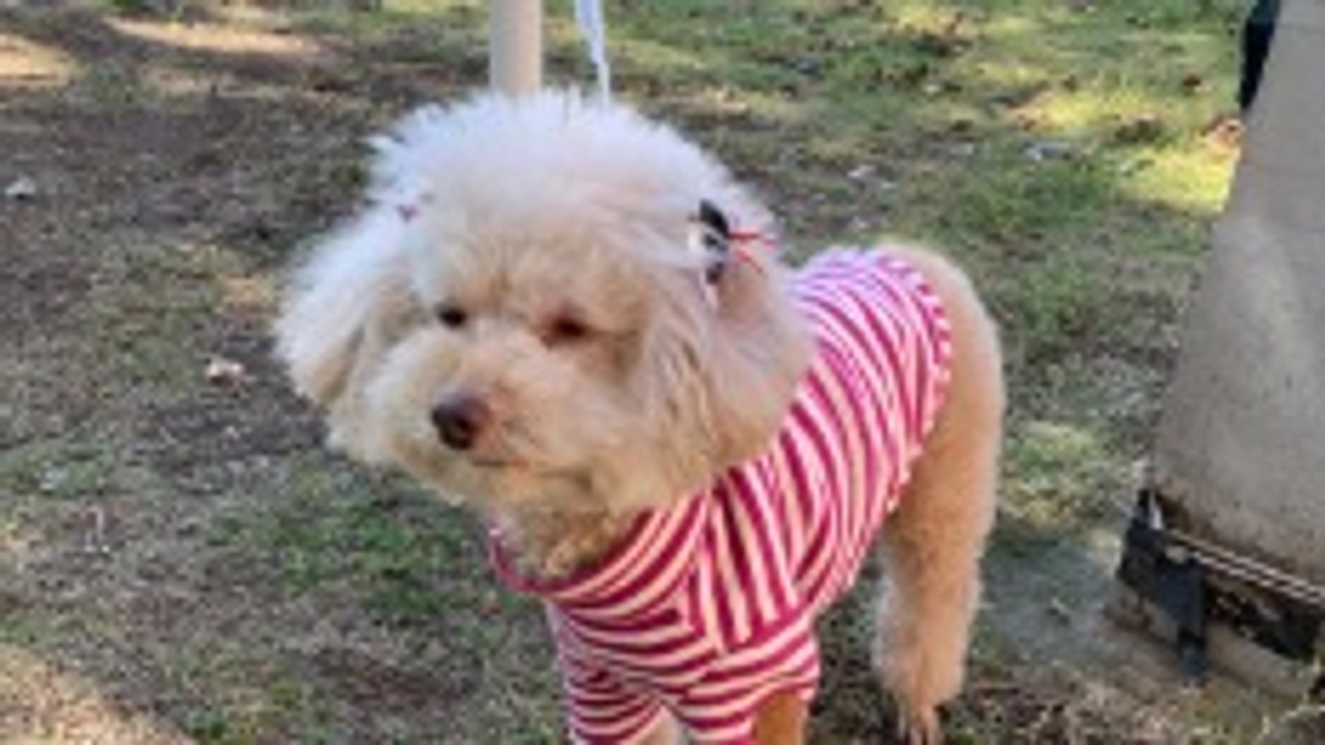 7/21のありがとうございます！