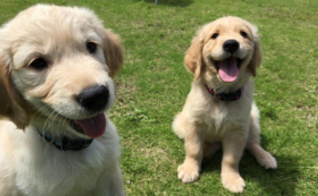 1万円支援コース