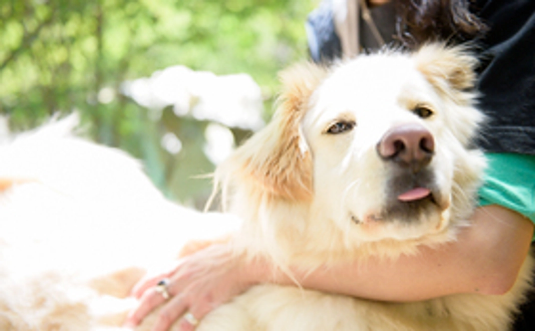 ハンドタオルもお送りいたします