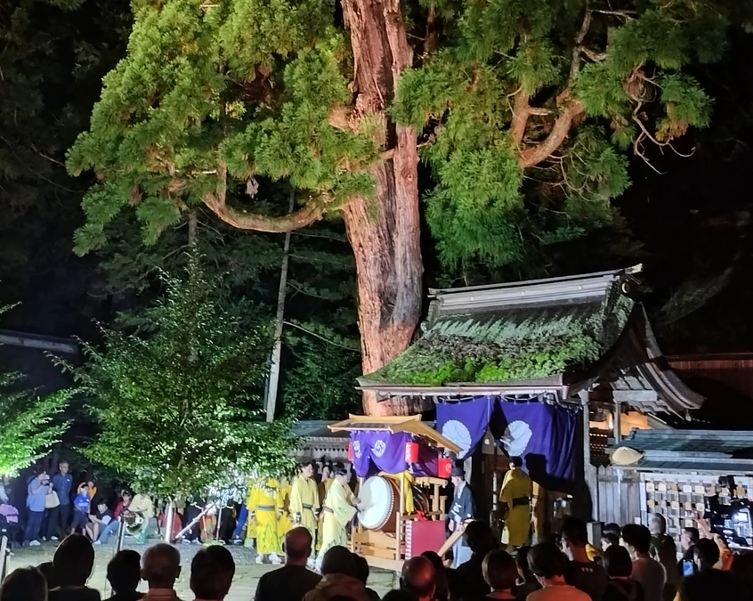 遠敷祭りと千年杉ライトアップ