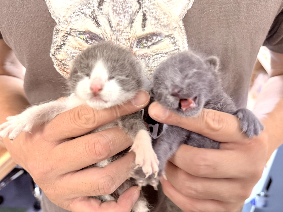 心に刺さった言葉。