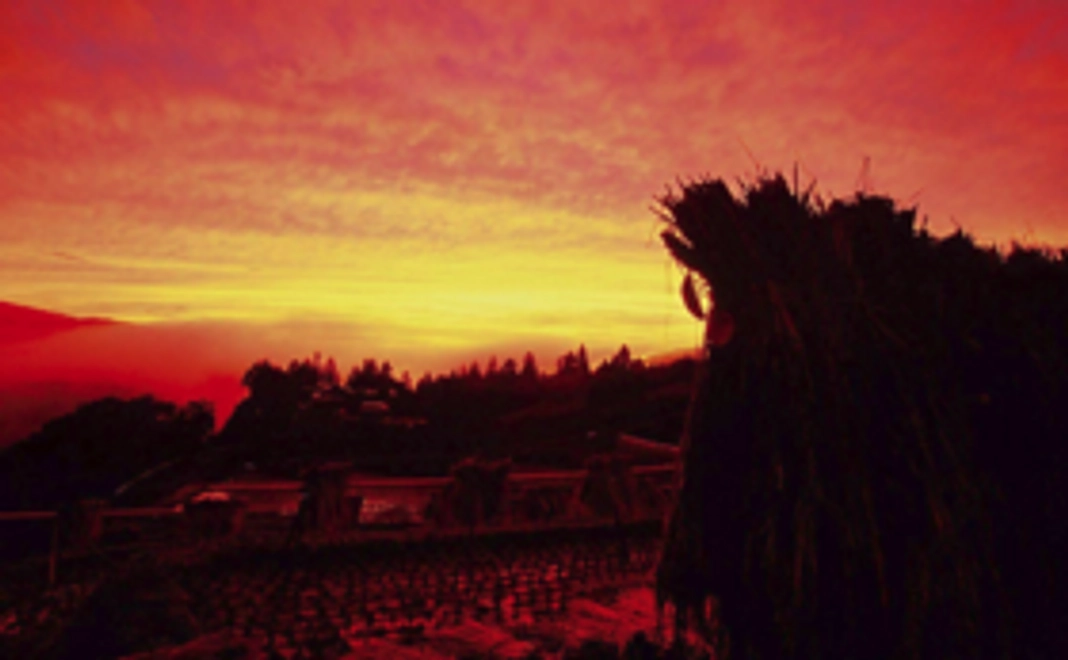 直虎が見た風景セットで応援！