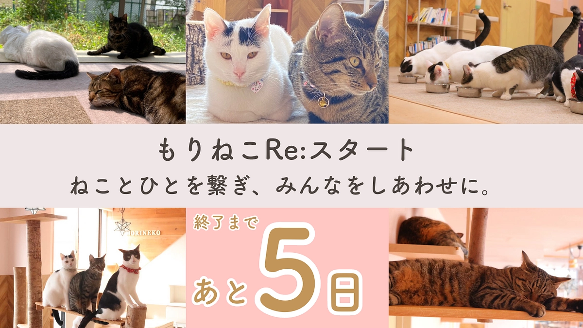 【クラウドファンディング終了まであと5日】本日で５Fが閉館となります