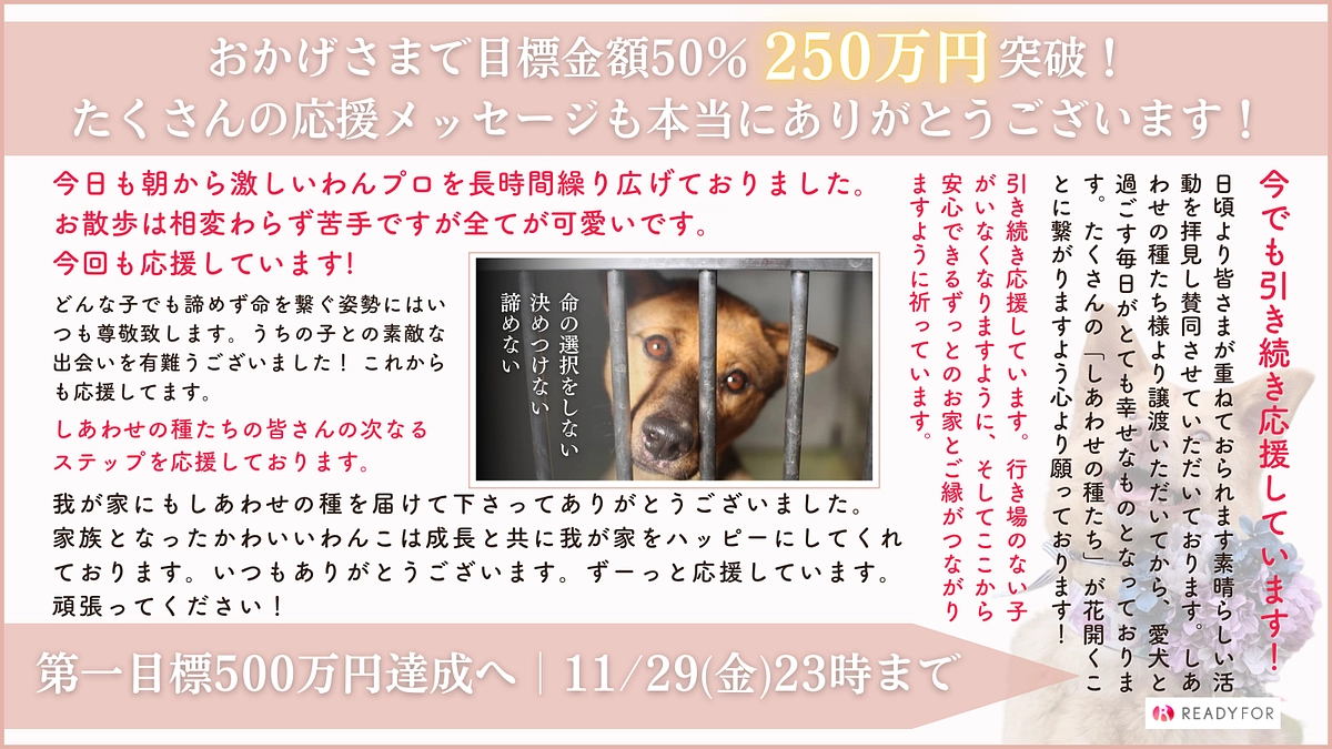 第一弾、第二弾ともにご寄付下さる皆様に感謝感動でいっぱいです！本当にありがとうございます。