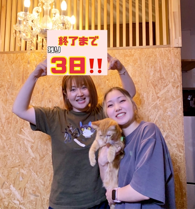 シェルターでのケア【あと３日‼️】