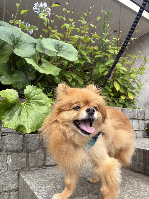 リターン送付させて頂きました