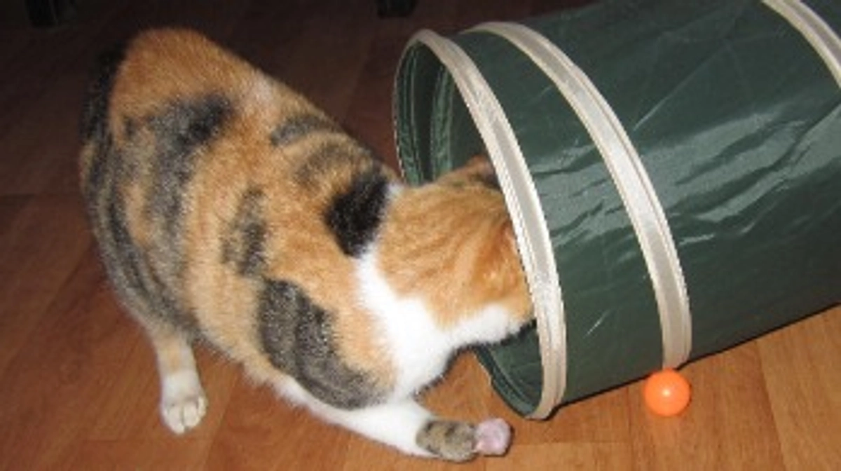 優しいおちいちゃん