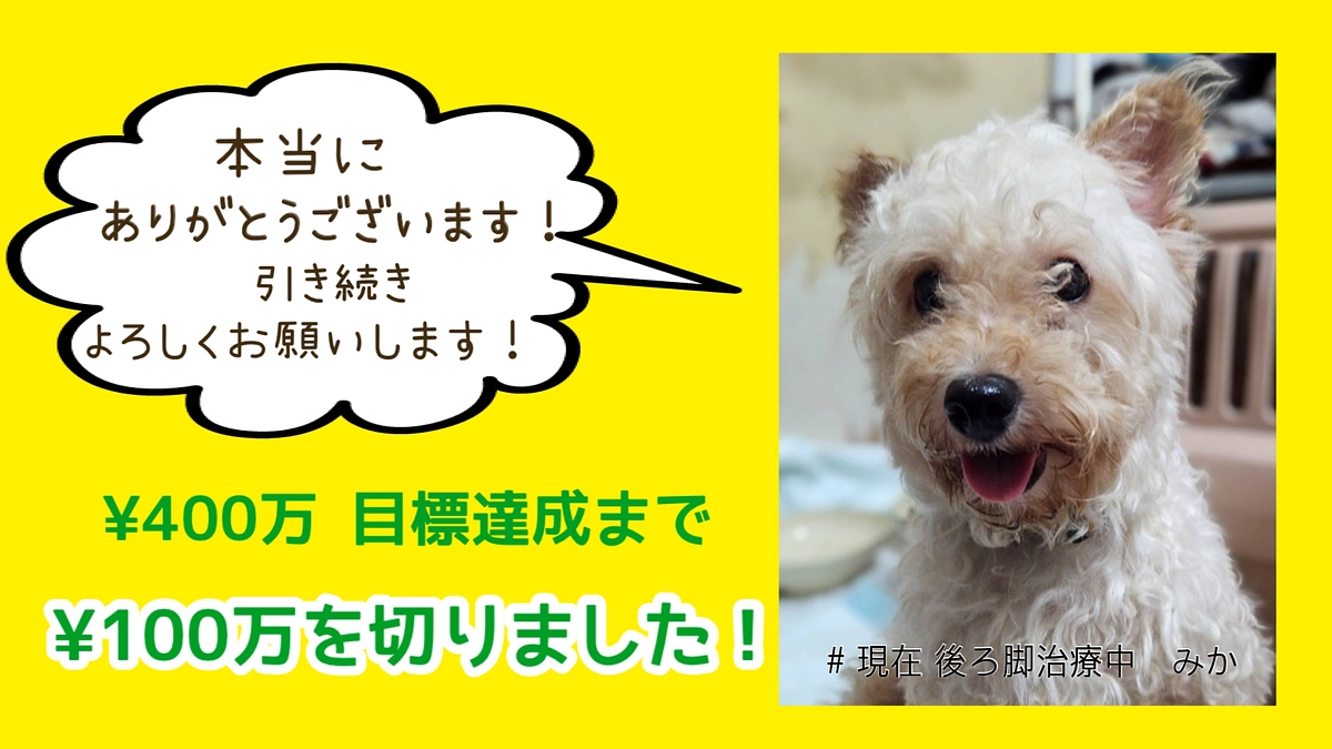 【第一目標まで あと91万3000円！】