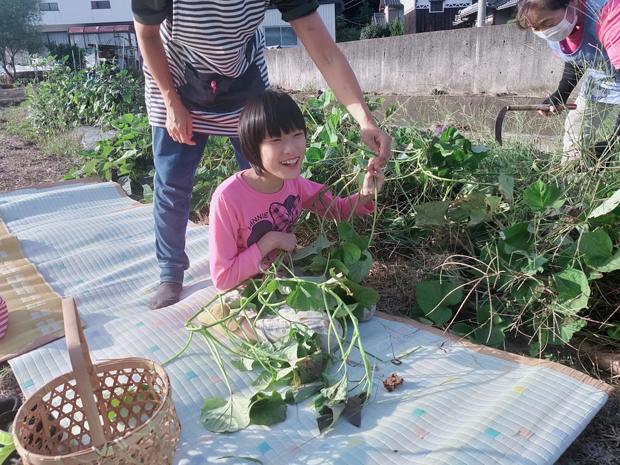 さつまいも堀り体験をしました！