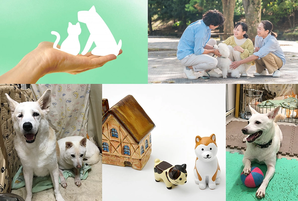 2025年はチャレンジの年とし、動物たちが活躍できる場所をつくりたい