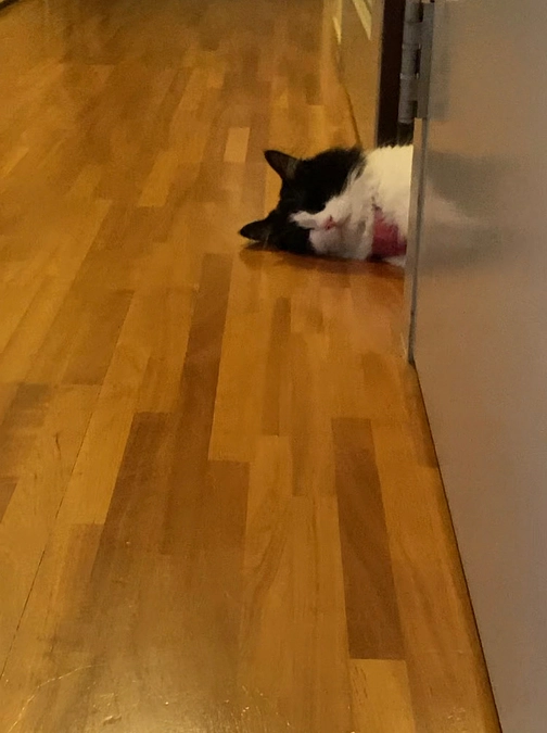 9/27　次女イタリアへ旅立つ　