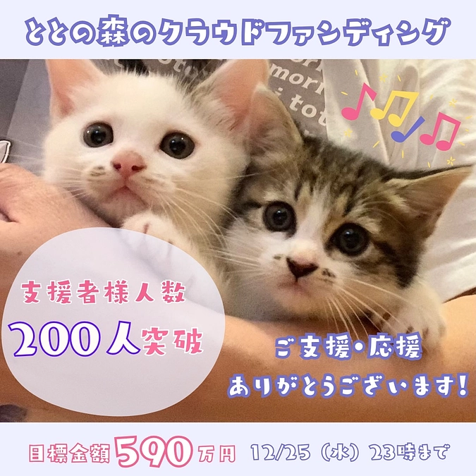 ご支援者様人数200人突破！ありがとうございます