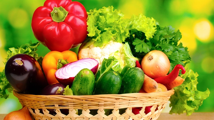 共に緑の未来を育てよう！[小牧]で支援