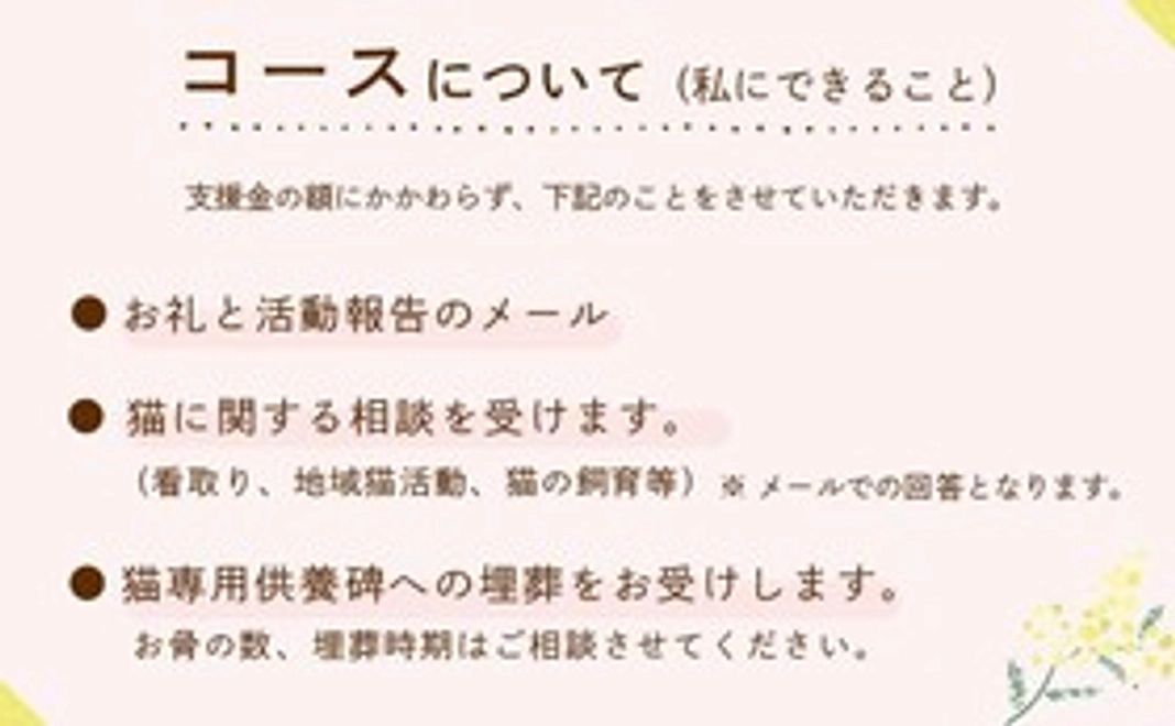 毎月2,000円コース