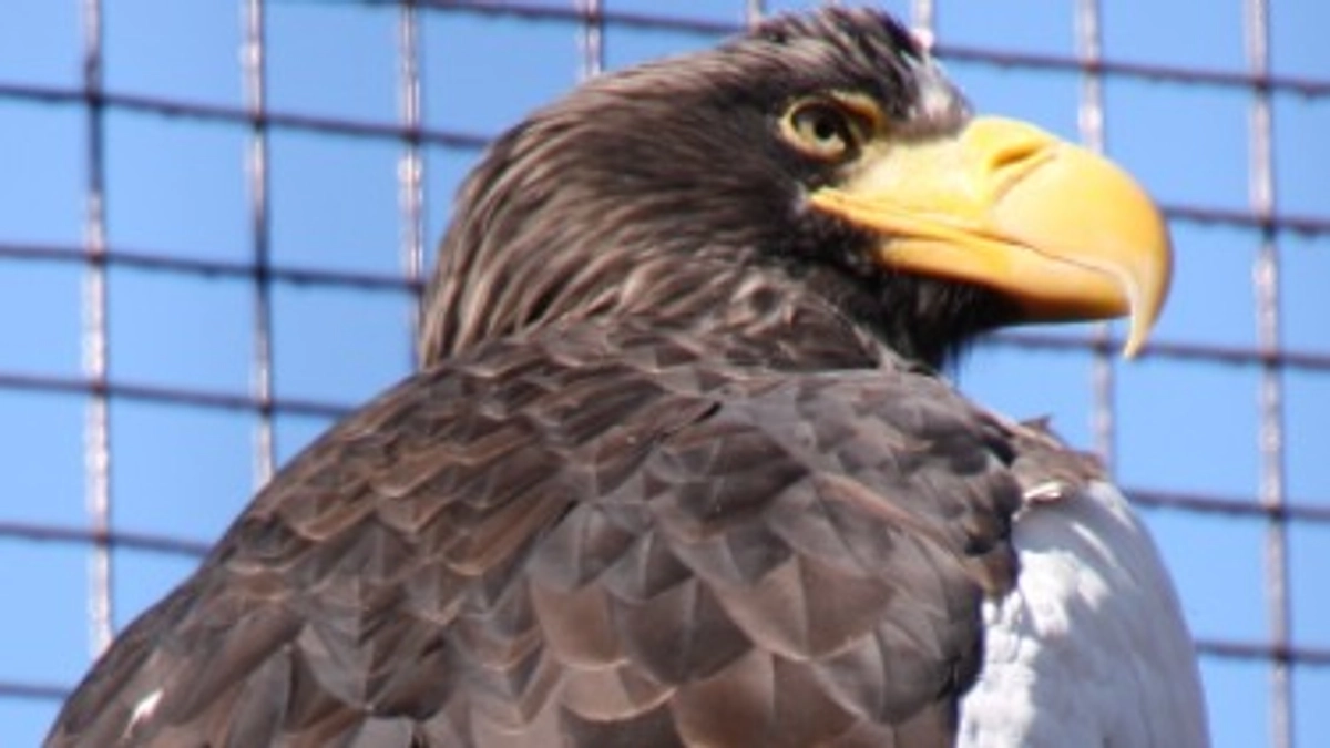 産経新聞 / 西日本新聞 / 北海道新聞 / 琉球新報 など、取り組みをご紹介いただきました！