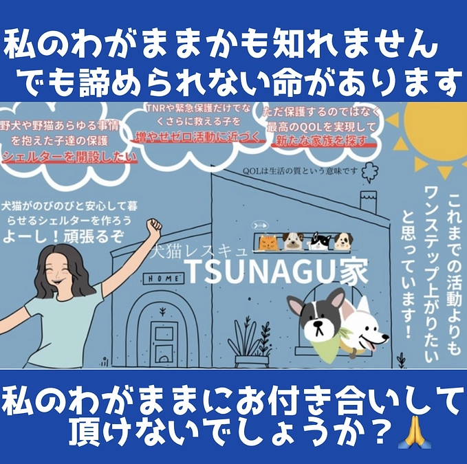 1週間たち経過報告です！