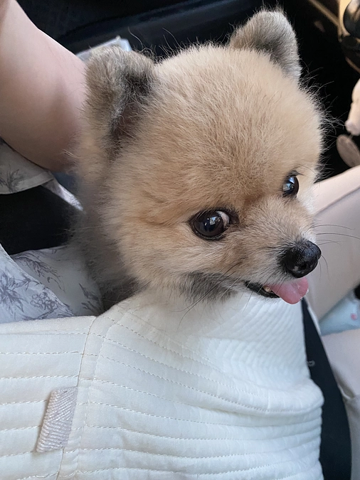 Instagramも始めました