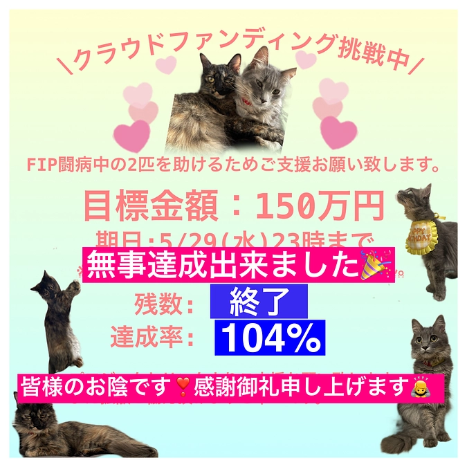 感謝御礼🙇‍♂️🙇