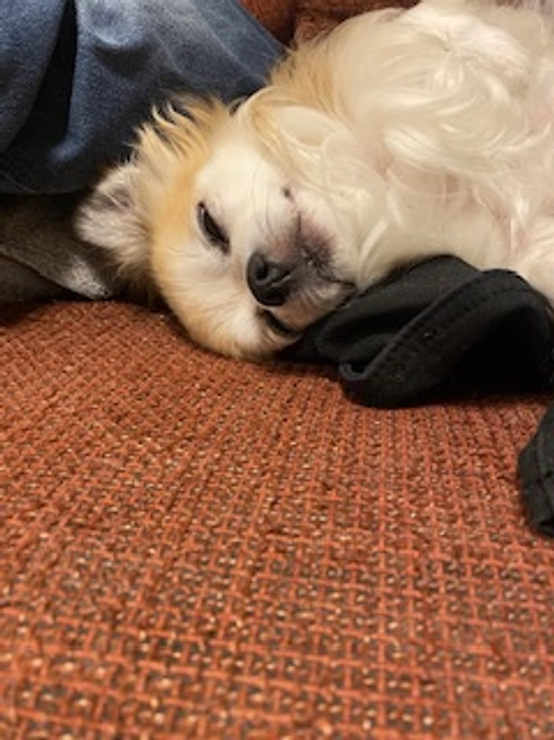 手術日程について