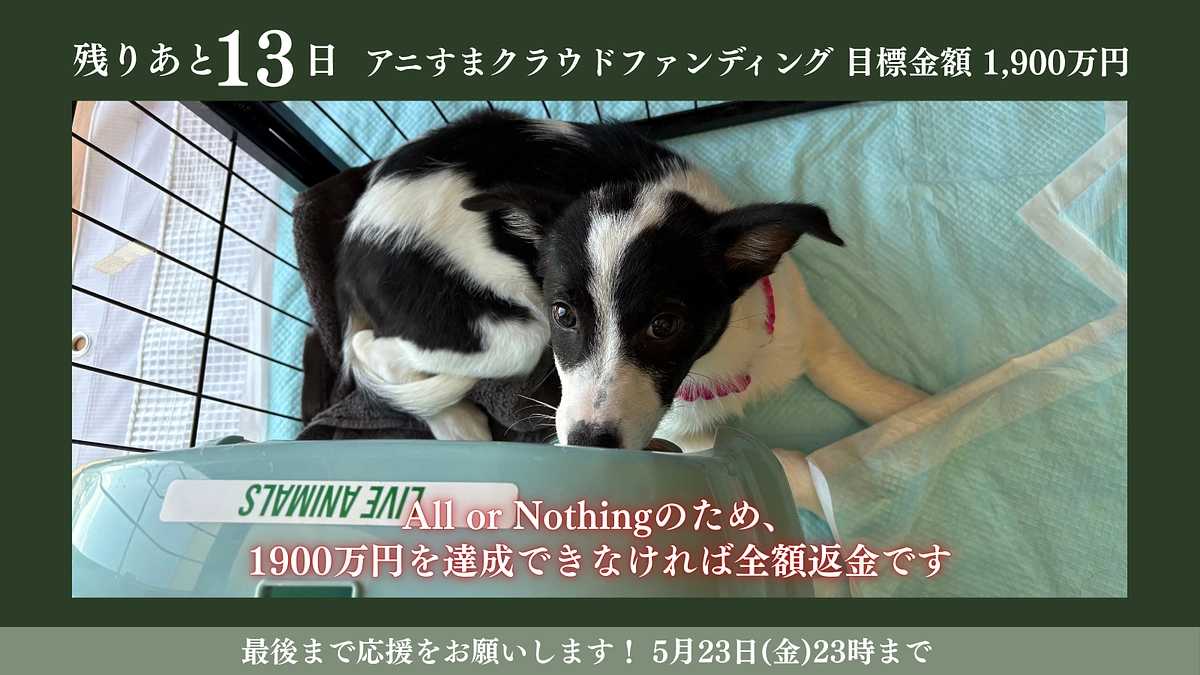 残り13日｜こんなに厳しい状況でもたくさんの方が応援コメントで励ましのお言葉をくださることに感謝です